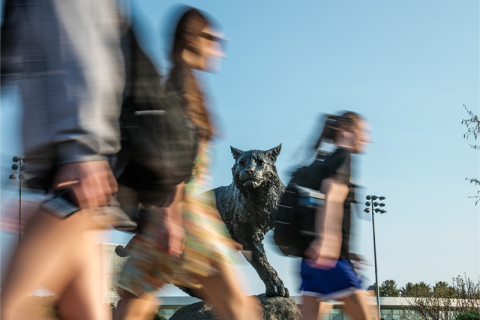 学生走过杜伦校园野猫雕像的模糊照片