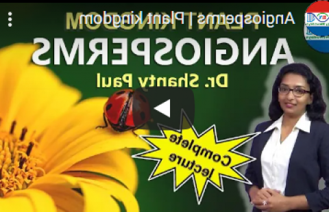 Thumbnail for Biology Nowadays' "Angiosperms" video with Dr. Shanty Paul