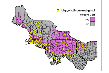 这张地图显示了东北和北大西洋沿岸各州，从俄亥俄州到新英格兰. 粉红色的县表示发现山毛榉叶病的地方.