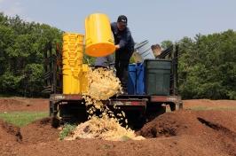 在金曼研究农场，一名主要研究餐饮服务工作人员将一个装有面条的黄色水桶倒出来.