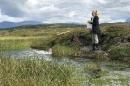 Student researcher stands at edge of stream in Arctic Sweden.